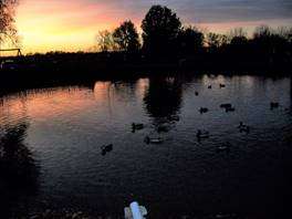 image097