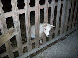 image098