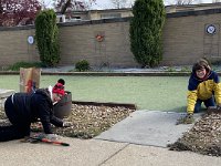 IMG 4580