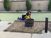 IMG 4581