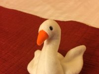 Chula Vista 2 (41) : Ruth  I Phone June 19 2017