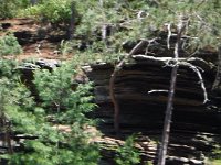 Chula Vista 2017 073 : Chula Vista 2017