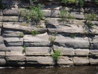 Chula Vista 2017 076 : Chula Vista 2017