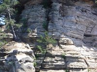 Chula Vista 2017 079 : Chula Vista 2017