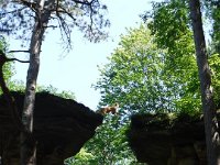 Chula Vista 2017 088 : Chula Vista 2017