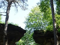 Chula Vista 2017 089 : Chula Vista 2017