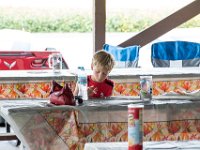 STLCC Picnic-1057 : Corvette, Picnic, STLCC